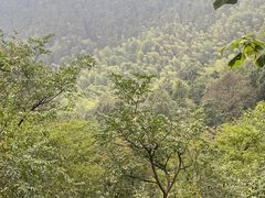 -敬亭山风景名胜区