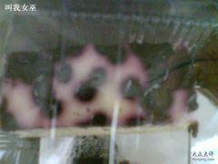 复件&nbsp;Image(072)-榖屋house of flour(张江首店)