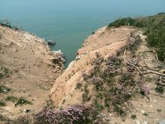-海驴岛(荣成市)