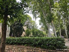 -武汉大学-樱园