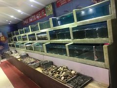 -王潮活海鲜自助·蒸汽海鲜