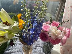 -双季花艺园艺市场(浦东店)