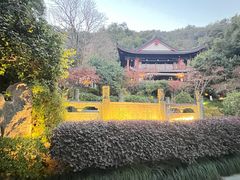 -十八棵（老龙井）御茶园(老龙井店)