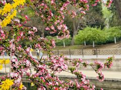 -元大都城垣遗址公园