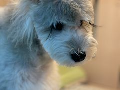 -乐宠宠物店(世纪金源店)