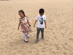 -巨鹏飞梦幻海岸