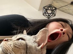 -萌喵宠狗爱心宠咖