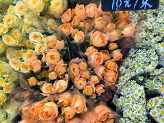 -循礼门鲜花花市(武汉循礼门店)