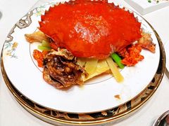 -蝶园·装修中(BFC外滩金融中心店)