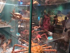-天津自然博物馆