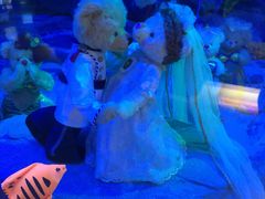 -成都泰迪熊博物馆