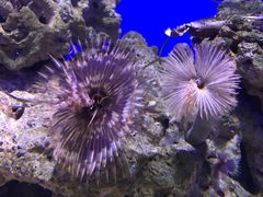-青岛海底世界-水族馆