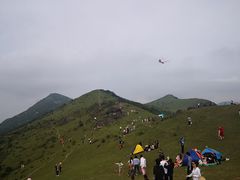 -大姆山草场