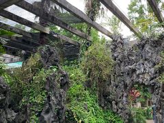 -华南国家植物园-售票处