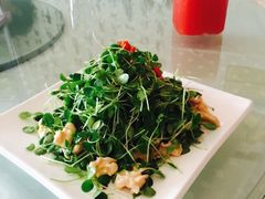 金蝉食府-金蝉食府(维吉奥广场店)