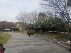 -玉山公园