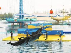 -秦皇岛乐岛海洋王国