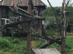 -石家庄市动物园