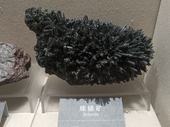 -安徽省地质博物馆