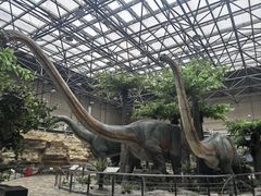 -国家自然博物馆