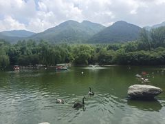 -西安秦岭野生动物园