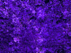 -西北湖绿化广场