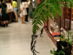 -二酉书店TOYOU BOOKS