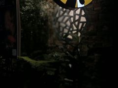 -茶理宜世(东方宝泰店)