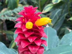 -国家植物园