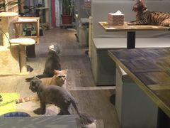 -小时光咖啡馆(开森度假森林店)