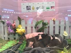 -布吉佳兆业广场