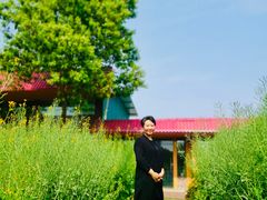 -洪湖家庭农场·团建·露营·会议