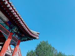 -颐和园