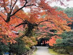 -醍醐寺