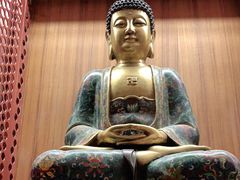 -二酉书店TOYOU BOOKS
