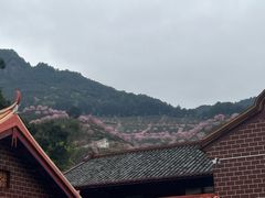 -灵光寺