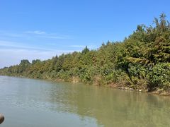 -合肥滨湖国家森林公园