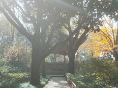 -汇龙潭
