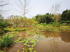 -中国科学院西双版纳热带植物园