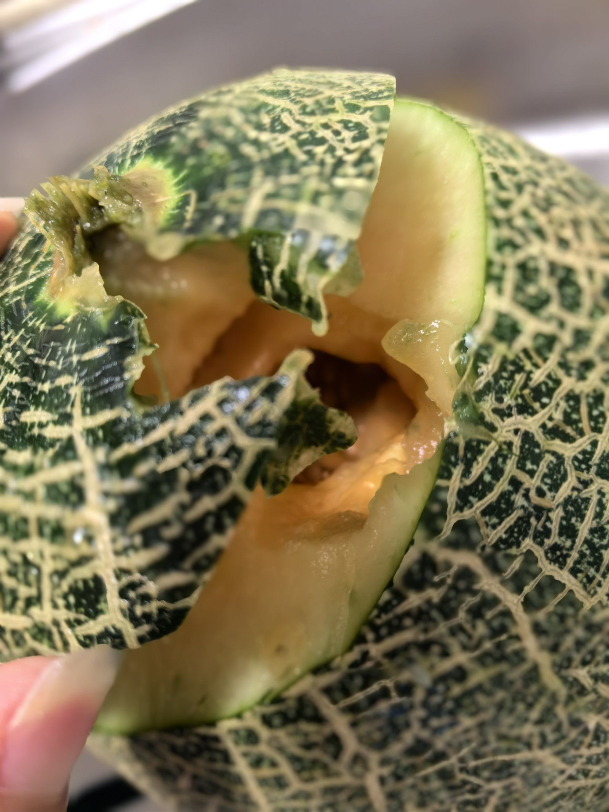 烂成这样的瓜孩子不知情吃了,如何维权!求助!