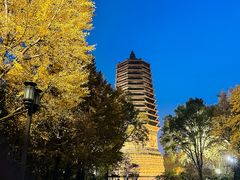 -玲珑塔公园