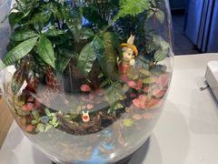 -野人牧坊Gelato(天津南开大悦城店)