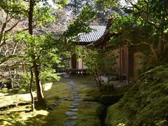 -西芳寺(苔寺)
