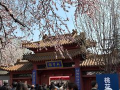 -桃花堤公园