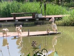 -宁波杭州湾国家湿地公园