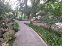 -成都市活水公园