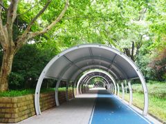 -人民公园-相亲角