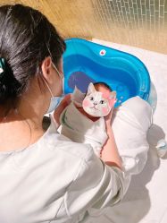 -baby bella小贝拉母婴护理中心(杭州凯宾斯基店)