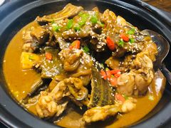 甲鱼牛蛙锅-洪湘记川湘·甲鱼馆(四海凯悦美食广场店)