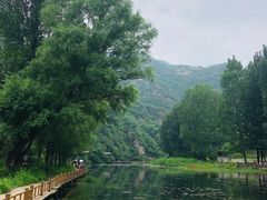 -白河湾生态旅游一条川